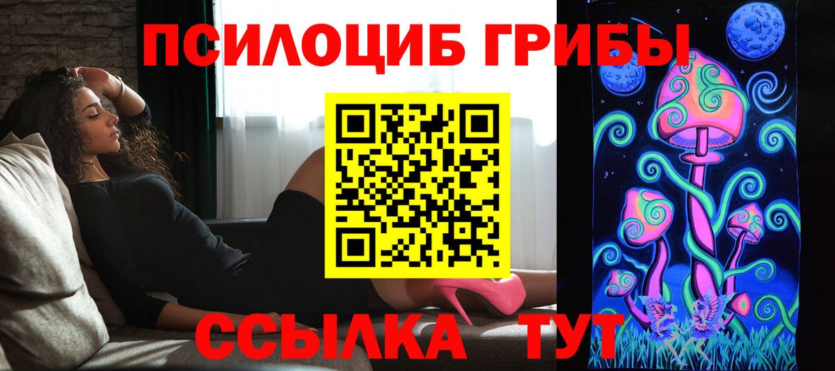 Тимашёвск  Псилоцибиновые грибы GOLDEN TEACHER  Вход с VPN 